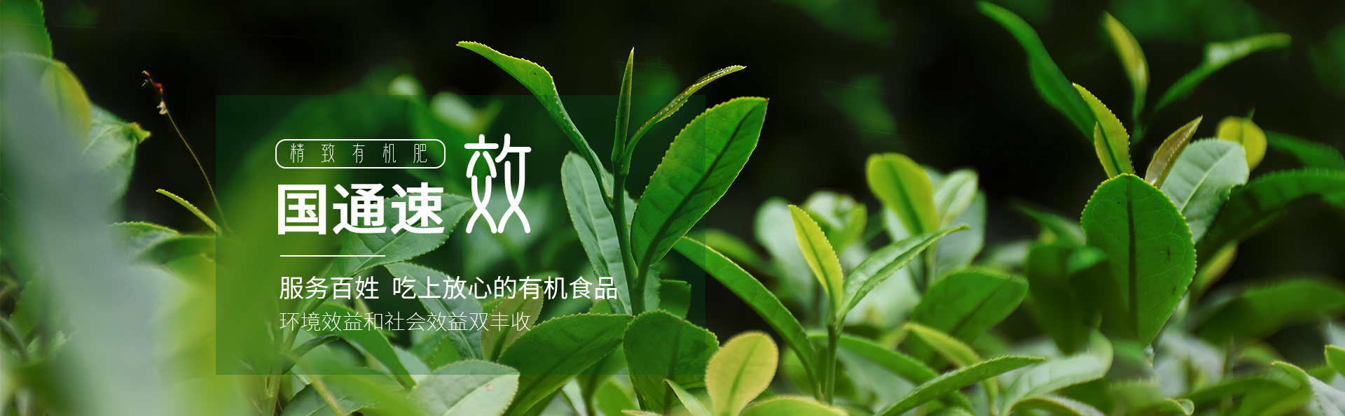 產(chǎn)品banner